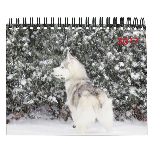 Voor de liefde van honden kalender (Hoes)