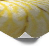 Voor de liefde van Iris Poster (Hoek)