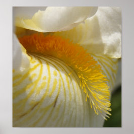 Voor de liefde van Iris Poster