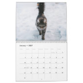 Voor de liefde van Kat - de Aangepaste Kalender va (Jan 2027)