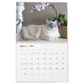 Voor de liefde van Kat - de Aangepaste Kalender va (Feb 2027)