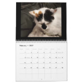 Voor de liefde van katten kalender (Feb 2027)