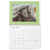 Voor de liefde van katten kalender (Mar 2027)