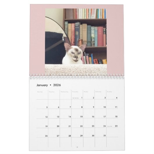 Voor de liefde van katten kalender (Jan 2026)