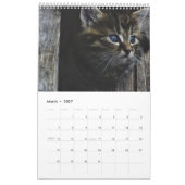 Voor de liefde van katten kalender (Mar 2027)