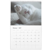 Voor de liefde van katten kalender (Feb 2027)