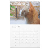 Voor de liefde van katten kalender (Jan 2027)