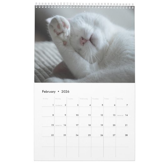 Voor de liefde van katten kalender (Feb 2026)