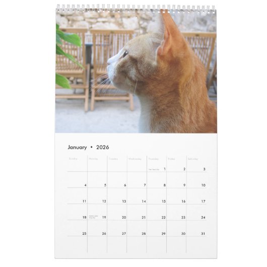 Voor de liefde van katten kalender (Jan 2026)