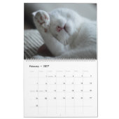 Voor de liefde van katten kalender (Feb 2027)