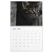 Voor de liefde van katten kalender (Mar 2027)