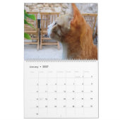 Voor de liefde van katten kalender (Jan 2027)