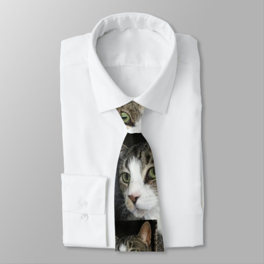 Voor de liefde van katten Stropdas (Gebonden)