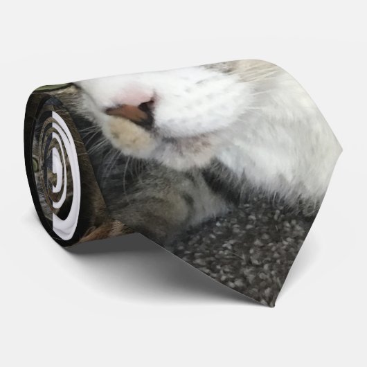 Voor de liefde van katten Stropdas (Opgerold)
