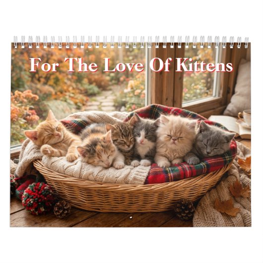 Voor de Liefde van Kittens Kalender (Hoes)