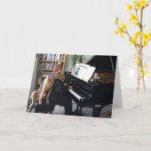 Voor de Liefde van Muziek (de Muziek van Liefdes Kaart (Gele Bloem)