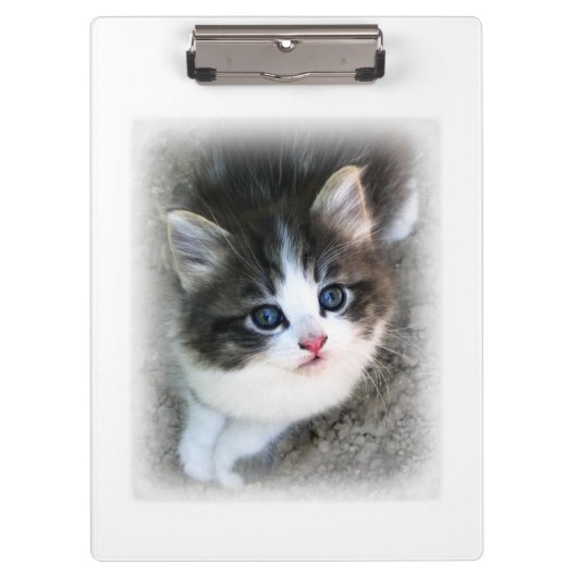 Voor de liefde van zwerfkatten klembord (Voorkant)