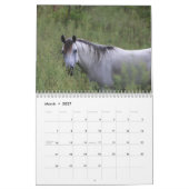Voor de liefde voor paarden 2010 kalender (Mar 2027)