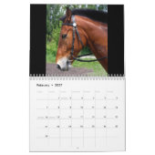 Voor de liefde voor paarden 2010 kalender (Feb 2027)