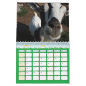 Voor de liefhebbers van geitenvlees kalender (Mar 2027)