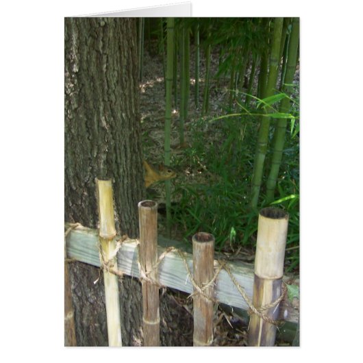 voor de lol wordt een sneaky - eekhoorn betrapt (Voorkant)