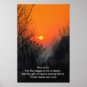 Voor de lonen van zonneschijn poster