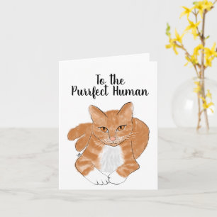 Voor de perfecte menselijke kattenbegroeting kaart