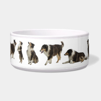 Voor de Sweet Tri Rough Collie, een Grote Pet Bowl Voerbakje