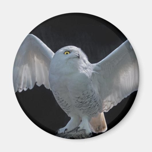 Vóór de vlucht te controleren magneet (Voorkant)