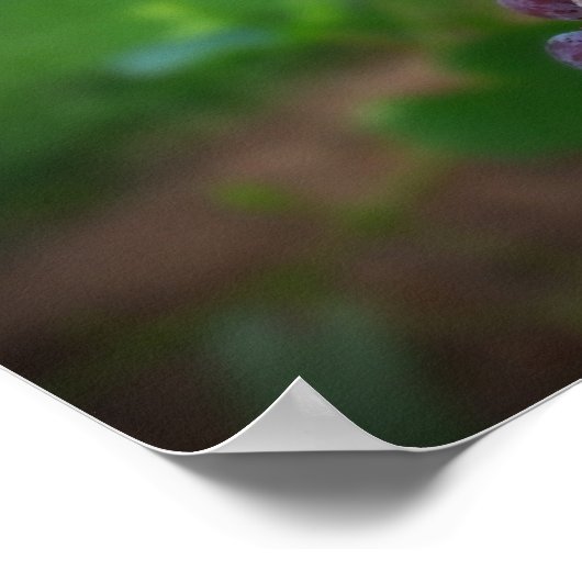 Vóór de wijn poster (Hoek)