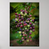 Vóór de wijn poster (Voorkant)