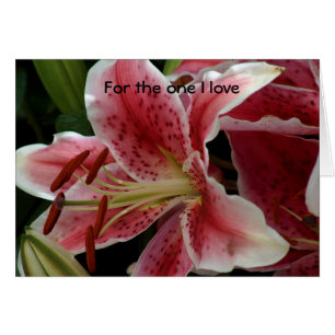 Voor degene waar ik van hou