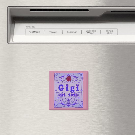 Voor die speciale "GiGi 2020" Magneet (Insitu (Vaatwasser))