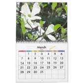 voor Donna Kalender (Mar 2027)