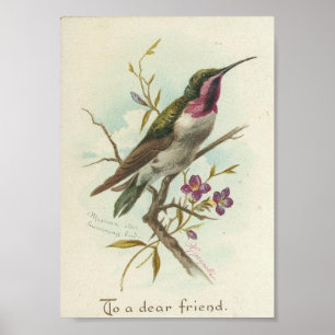 Voor een goede vriend,  Hummingbird Poster