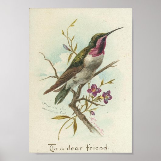 Voor een goede vriend,  Hummingbird Poster (Voorkant)