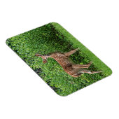 Voor een hek magneet (Rechterzijde)