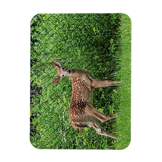 Voor een hek magneet (Verticaal)