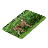 Voor een hek magneet (Linkerzijde)