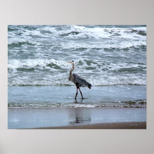Voor een Morning Stroll Poster (Voorkant)
