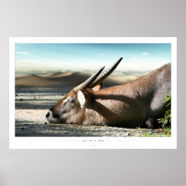 voor een tijdje poster