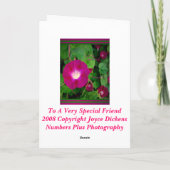 Voor een zeer speciale vriend - een ochtendglorie kaart (Achterkant)