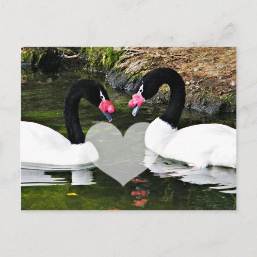 Voor eeuwig Yours_ Briefkaart (Voorkant)