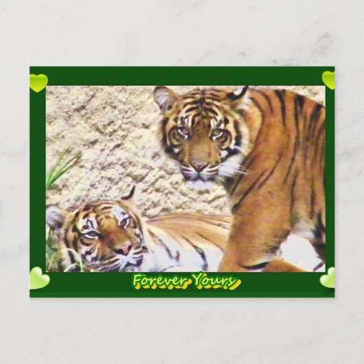 Voor eeuwig Yours_ Briefkaart (Voorkant)