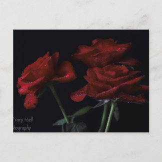 Voor eeuwig Yours Briefkaart