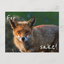 Voor Fox Sake Briefkaart