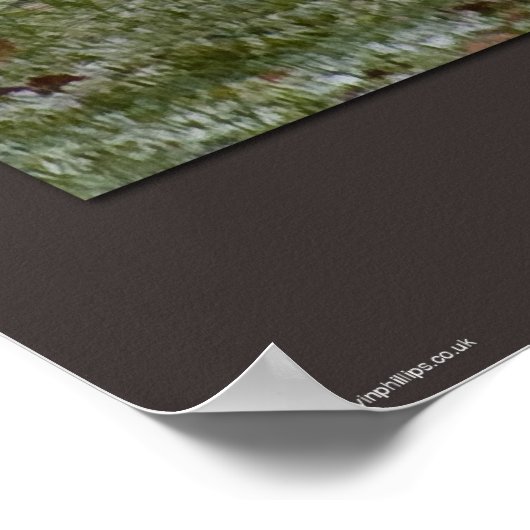 Voor Fox Sake Poster (Hoek)