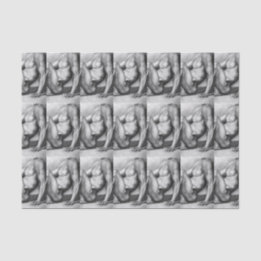 Voor hem handige vrouwelijke bieder sport tissuepapier