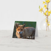 Voor het Belang van de Vos. Het is opnieuw Uw Kaart (Gele Bloem)