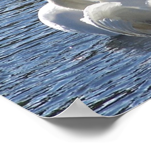 "Voor het leven" Poster (Hoek)